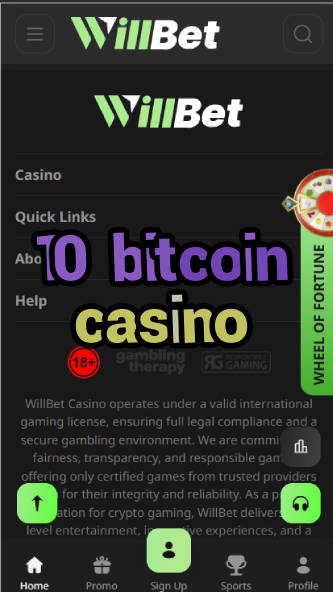 10 Bitcoin Casino - Crypto Gambling Sites-casinogringos.casinoorder.vip